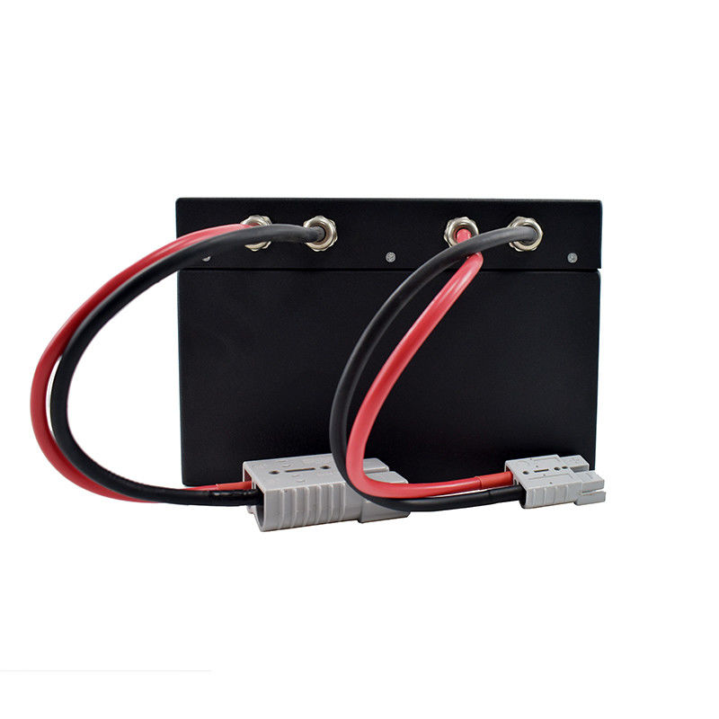 300*245*169mm 팔레트 트럭 배터리 블랙 배열 시간 2-3 시간 24V 60AH